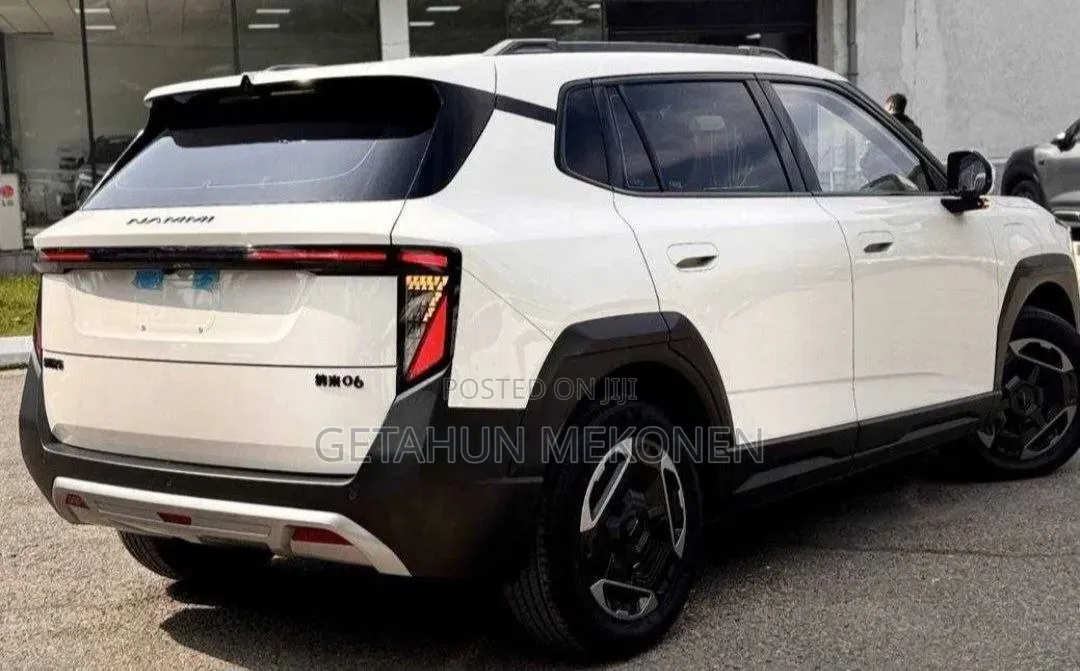 New Dongfeng Nammi Box 2025 White