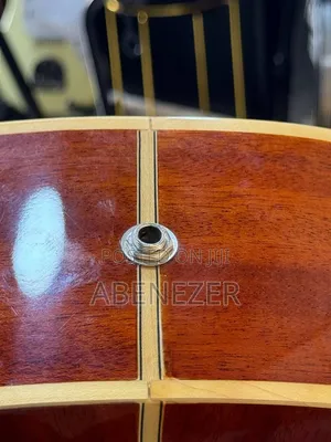 Lucky Star Semi Acostic Guitar
