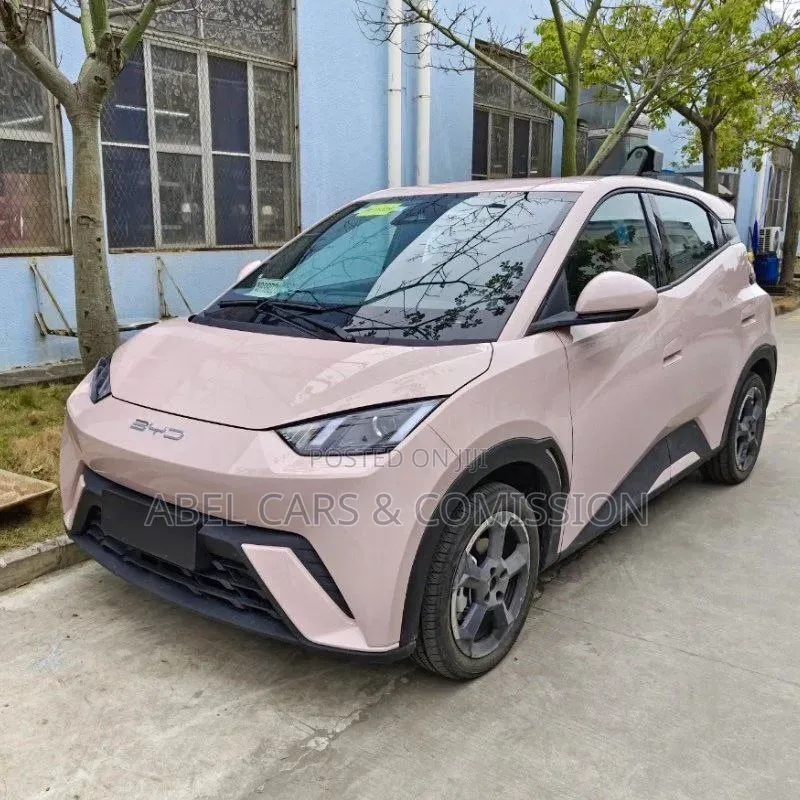 BYD Seagull for Rent