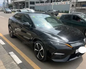BYD Song L DM-i 2025 Matt Black