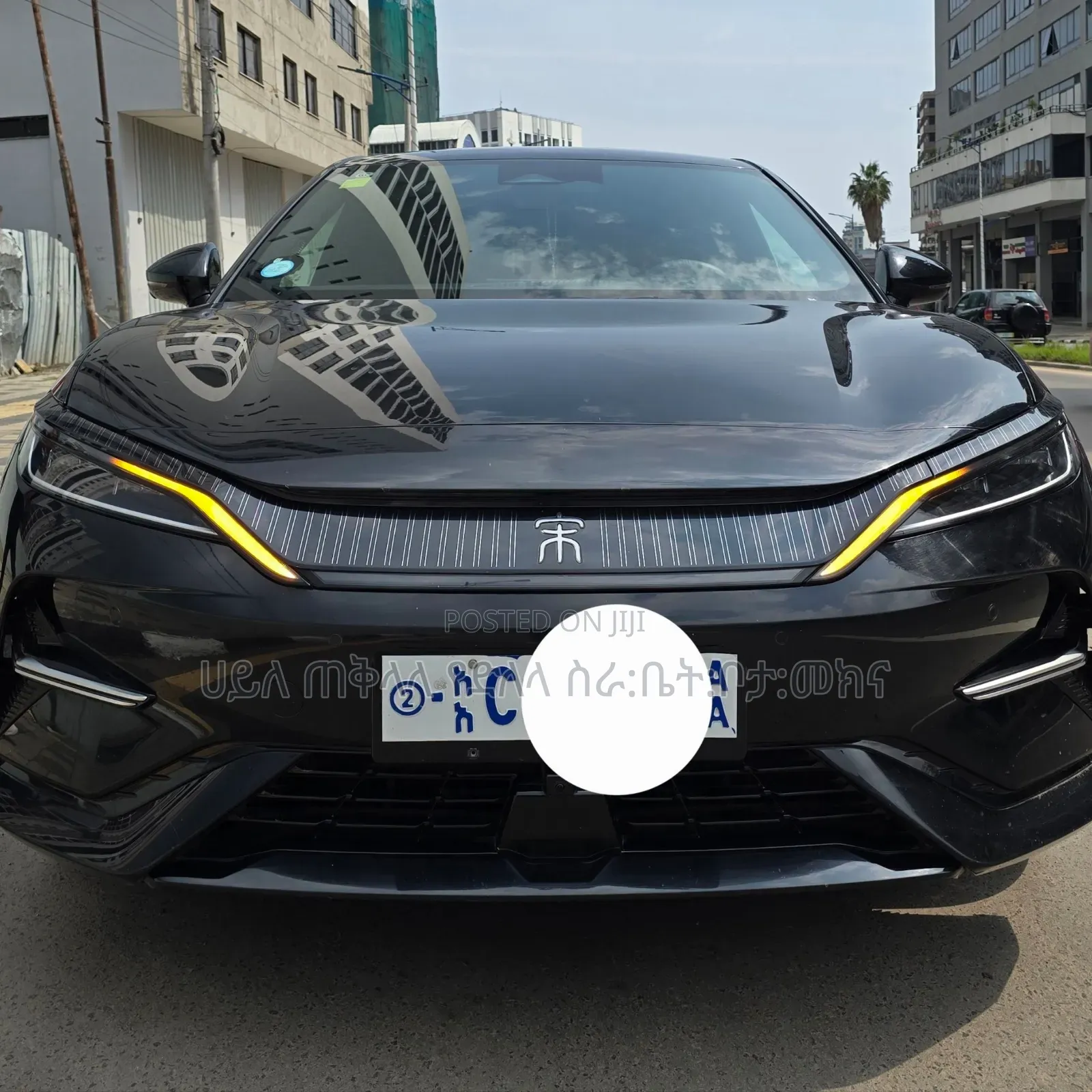 BYD Song L DM-i 2025 Matt Black