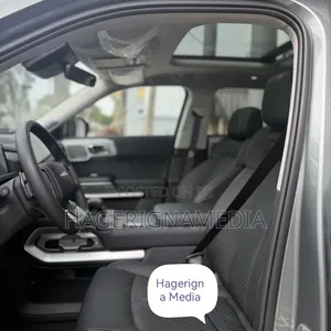 New BYD Leopard 3 2025 Gray