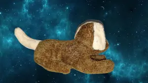 ቡችላ አሻንጉሊት Plush Toy