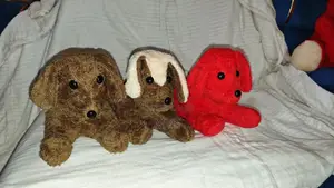 ቡችላ አሻንጉሊት Plush Toy