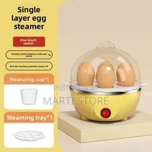 Electric Egg Boiler