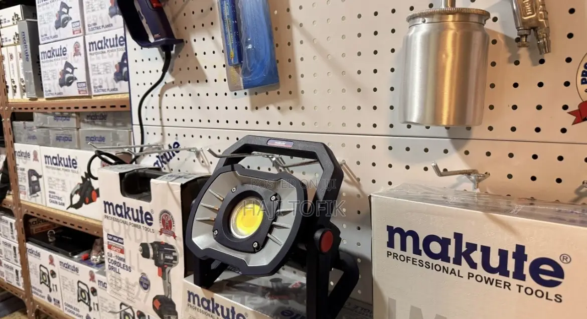 Cordless Flood Light