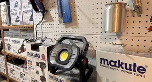 Cordless Flood Light