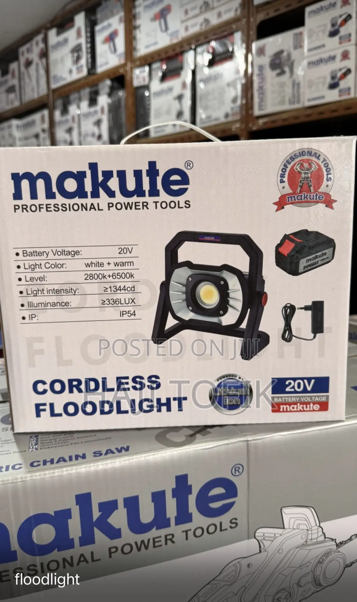 Cordless Flood Light