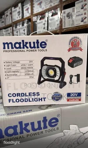 Cordless Flood Light