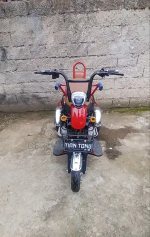 New Tricycle 2025 Black