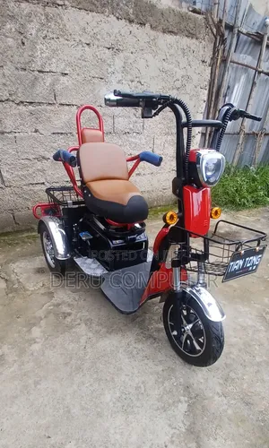 New Tricycle 2025 Black