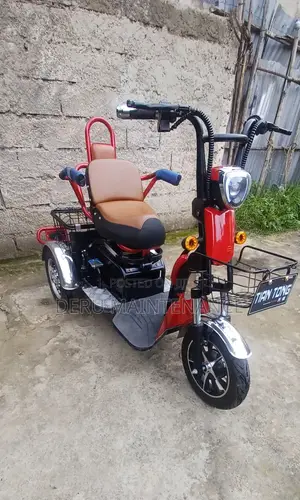 New Tricycle 2025 Black