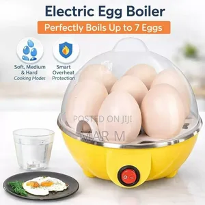 Electric Egg Boiler