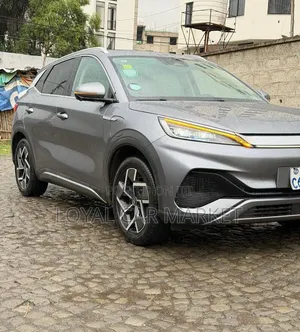 BYD Yuan Plus 2024 Gray