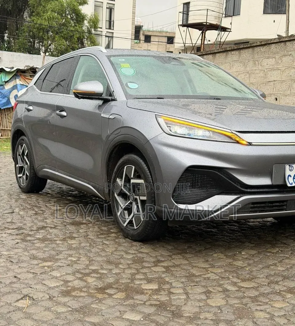 BYD Yuan Plus 2024 Gray