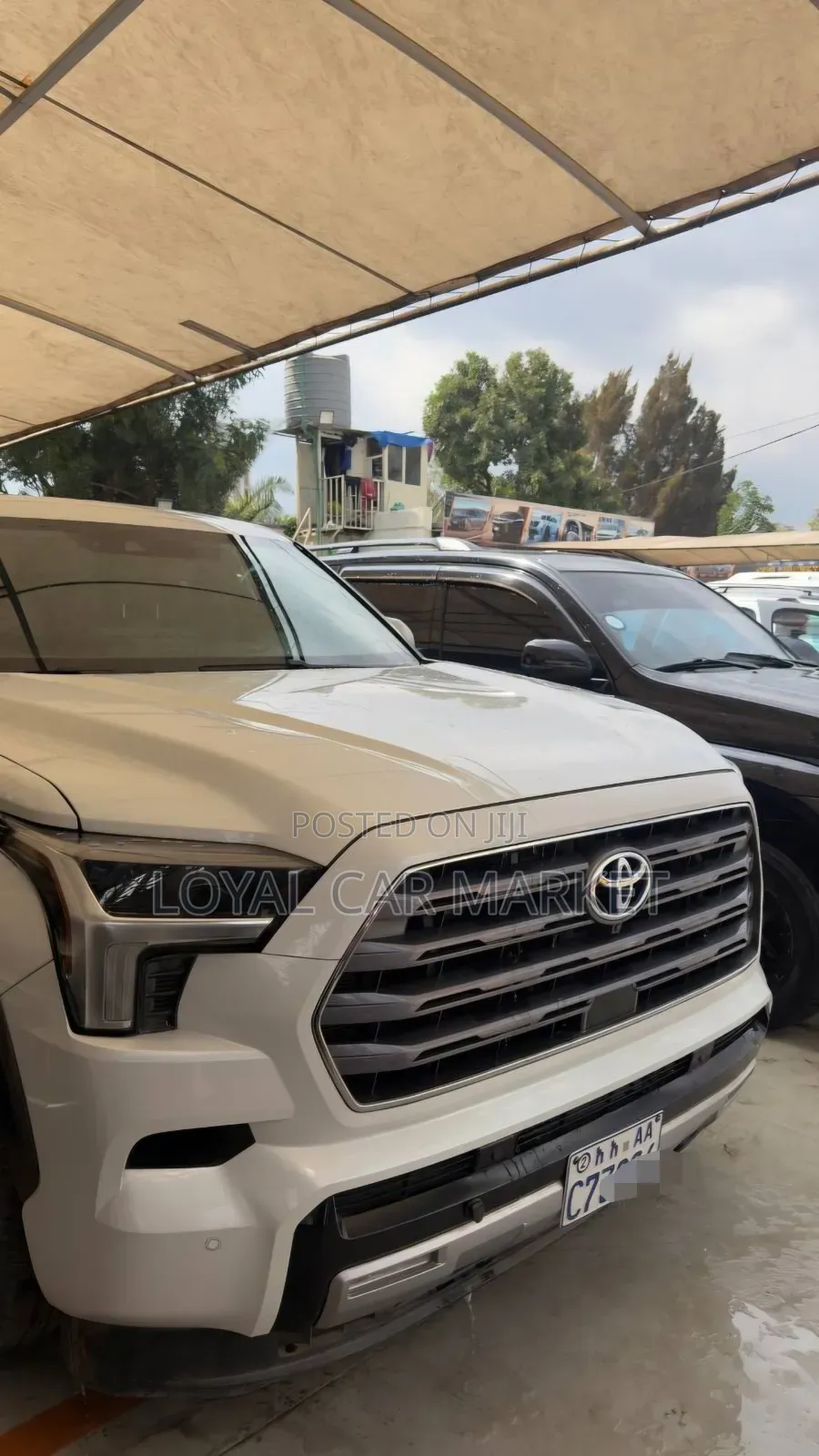 Toyota Sequoia 2023 Gray