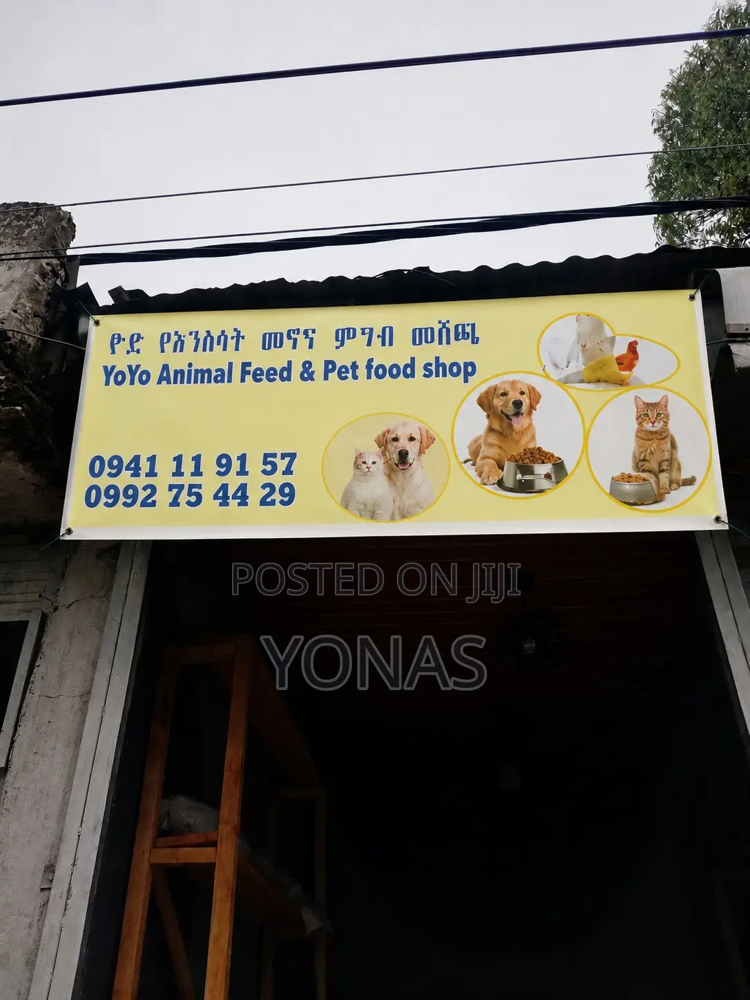 የውሻ ምግብ መኖ Dog Food