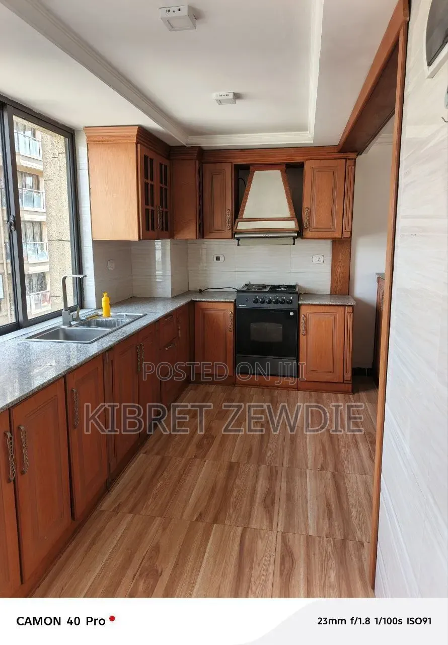 Furnished 3bdrm Apartment in Kibert Ewdie, Bole for sale