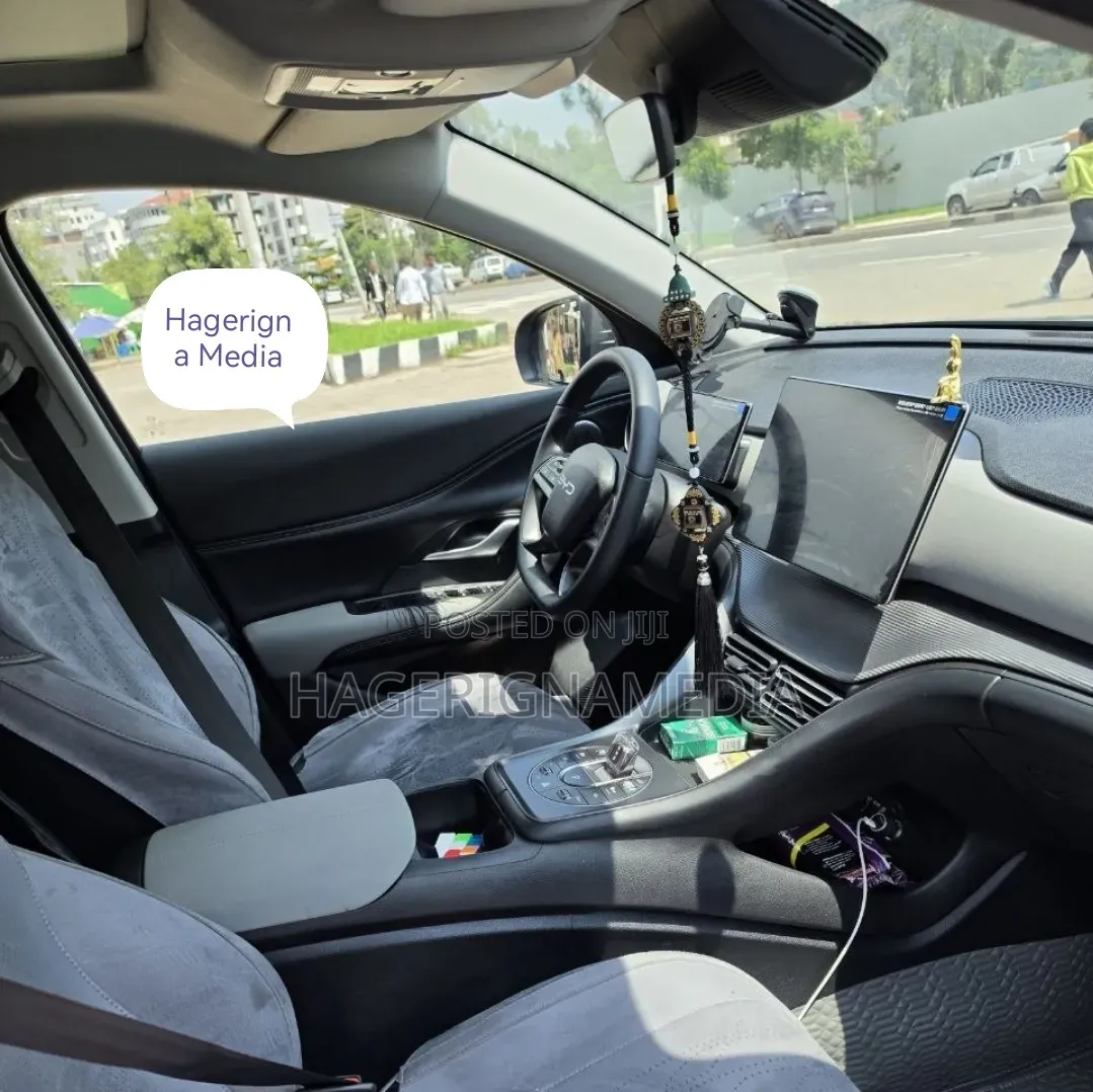 BYD Sealion 06 EV 2025 Gray