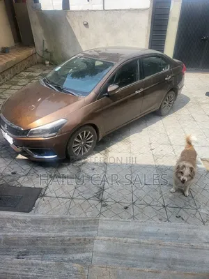 Suzuki Ciaz 2019 Brown