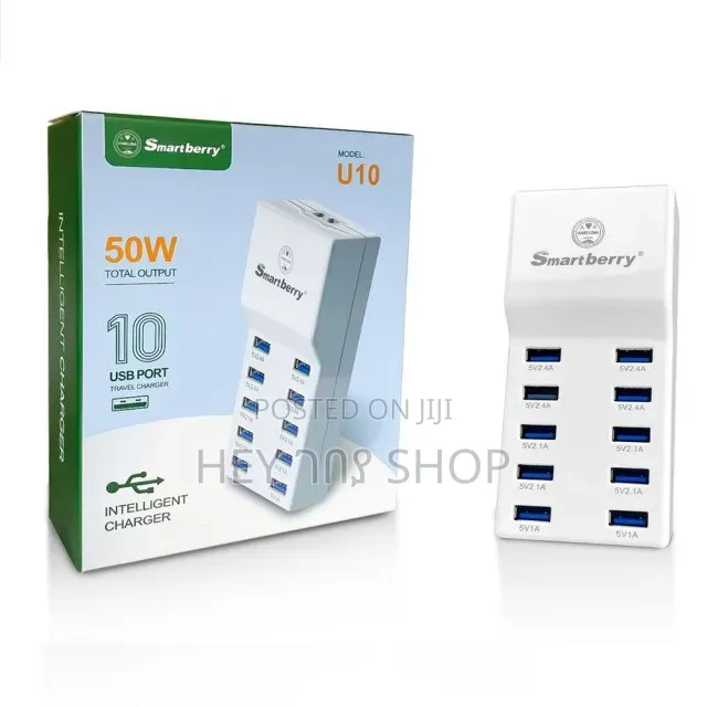 Smart Berry U10 50w Charger