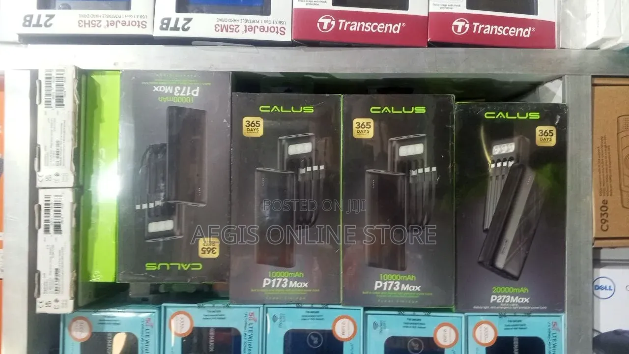 P173Max 10000mAh Power Bank