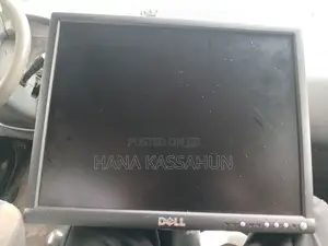 Dell 19 Inch Monitor