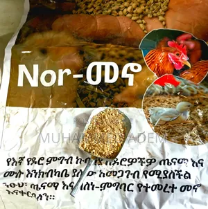 የ ዶሮ እና የ ከብት መኖ Animals Feed