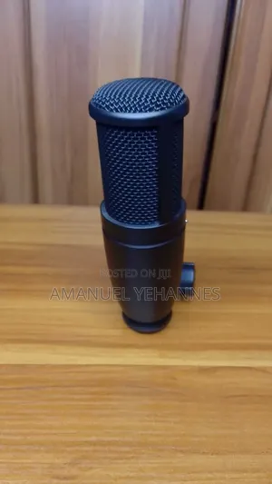 Akg P120 True Condensed Microphone