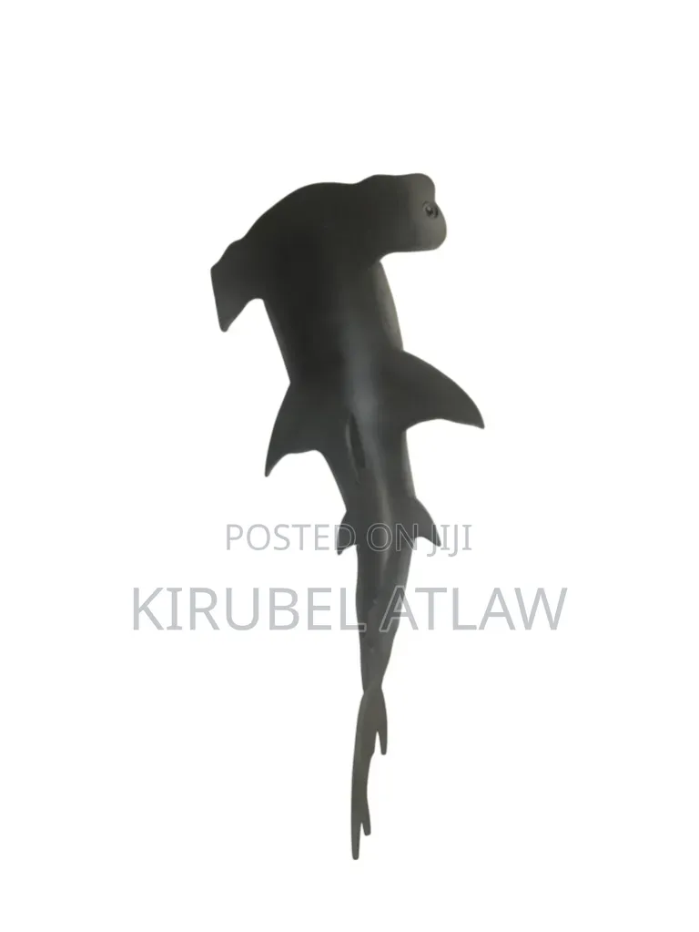 Hummerhead Shark