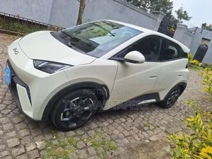 BYD Seagull 2025 White