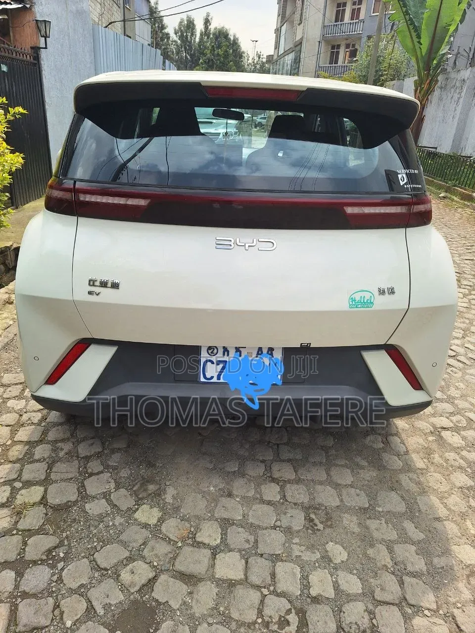 BYD Seagull 2025 White