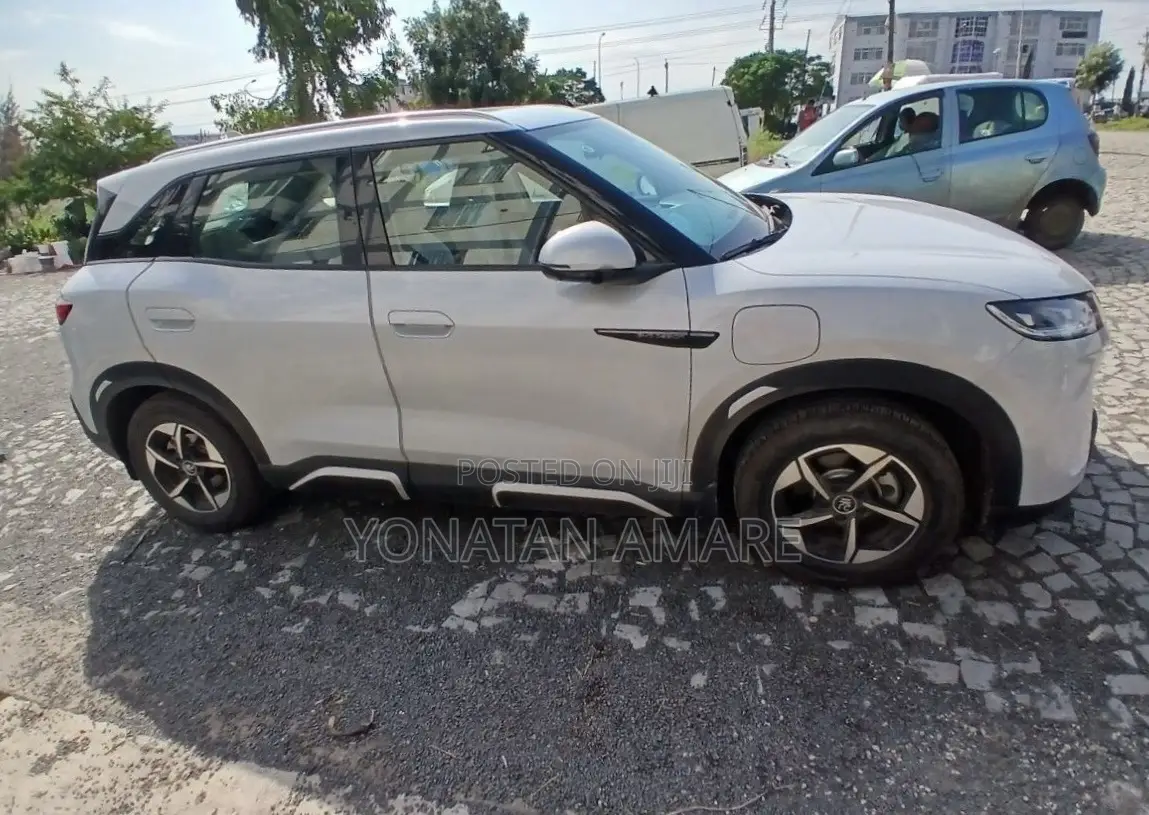 BYD Yuan Up 2024