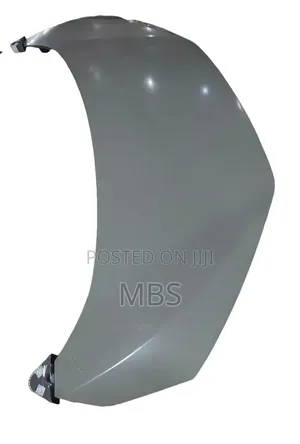 BYD Segul Hood New