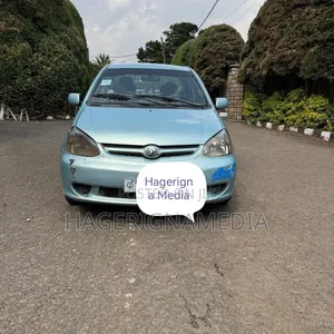 Toyota Platz 2005 Green