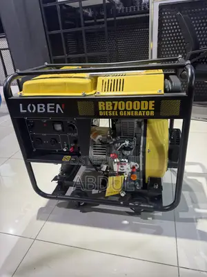 LOBEN RB7000DE Heavy Duty 5kW Diesel Generator (Electric Start)