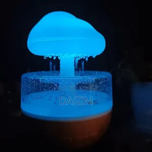 Aqua-Mist Rain Cloud Diffuser and Humidifier