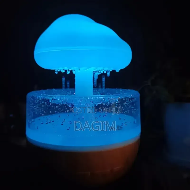 Aqua-Mist Rain Cloud Diffuser and Humidifier