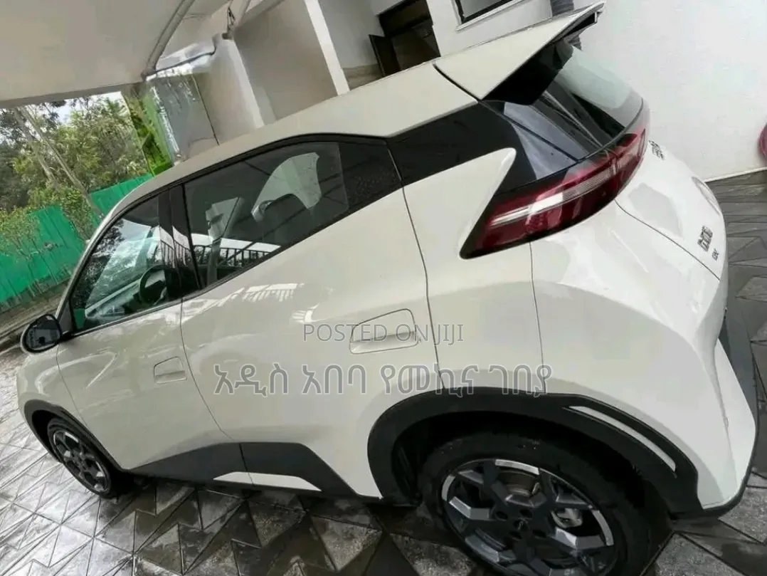 BYD Seagull 38 kWh FWD 2024 White