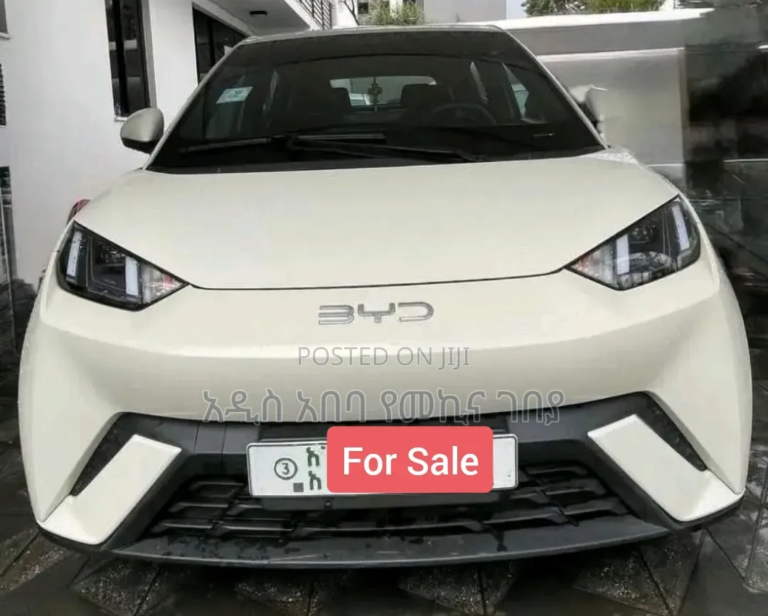 BYD Seagull 38 kWh FWD 2024 White