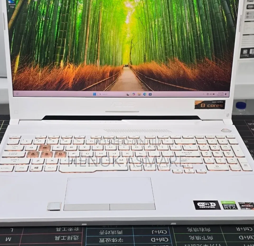 New Laptop Asus TUF Gaming A15 16GB AMD Ryzen 9 SSD 512GB