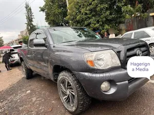Toyota Tacoma 2009 Gray