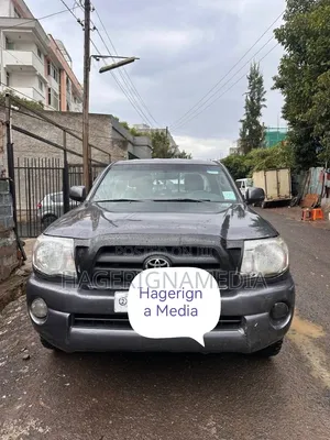 Toyota Tacoma 2009 Gray