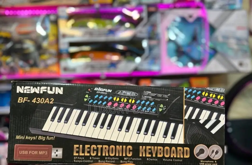 This Is a Newfun BF-430A2 Electronic Keyboard
