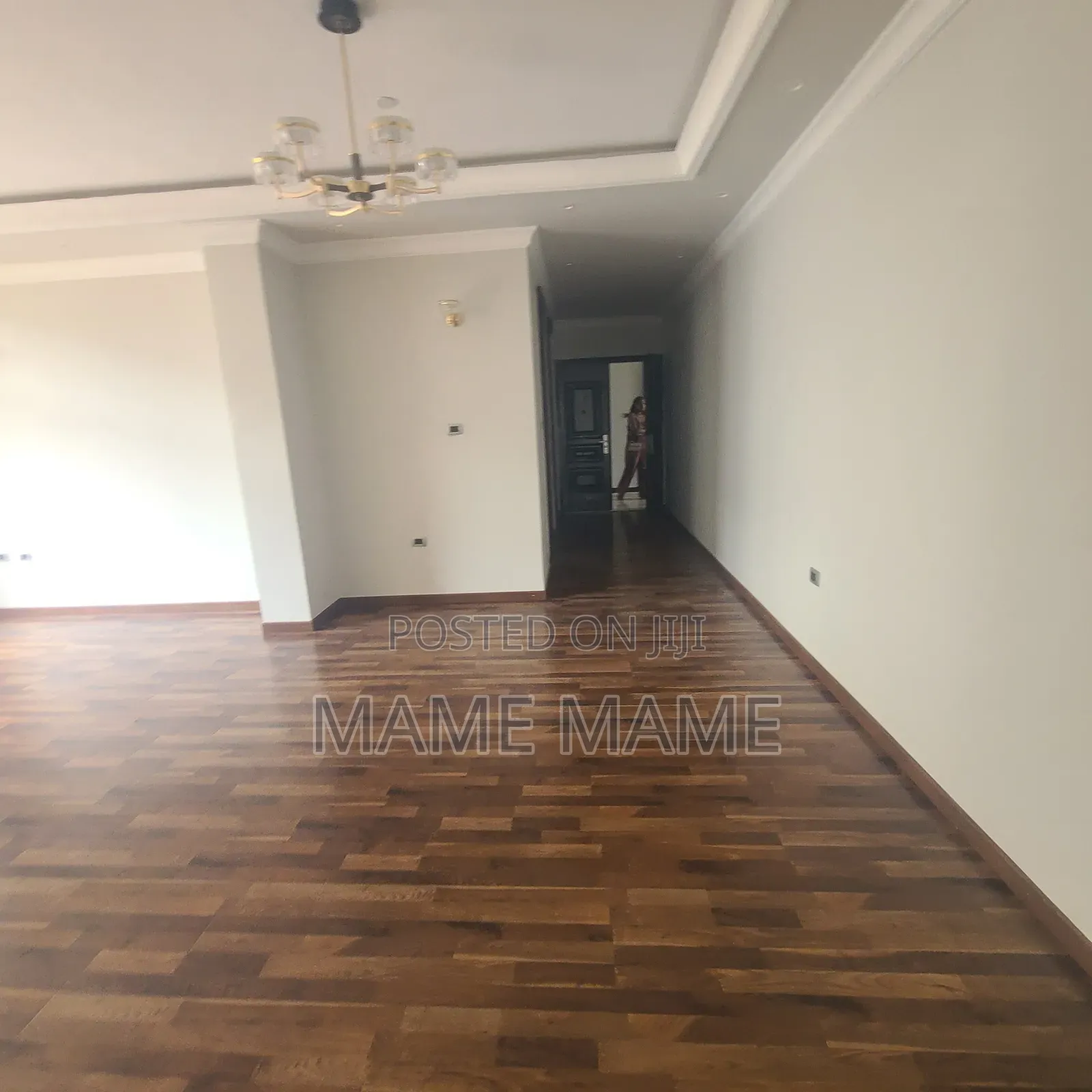 3bdrm Apartment in Addis Abeba, Bole for rent