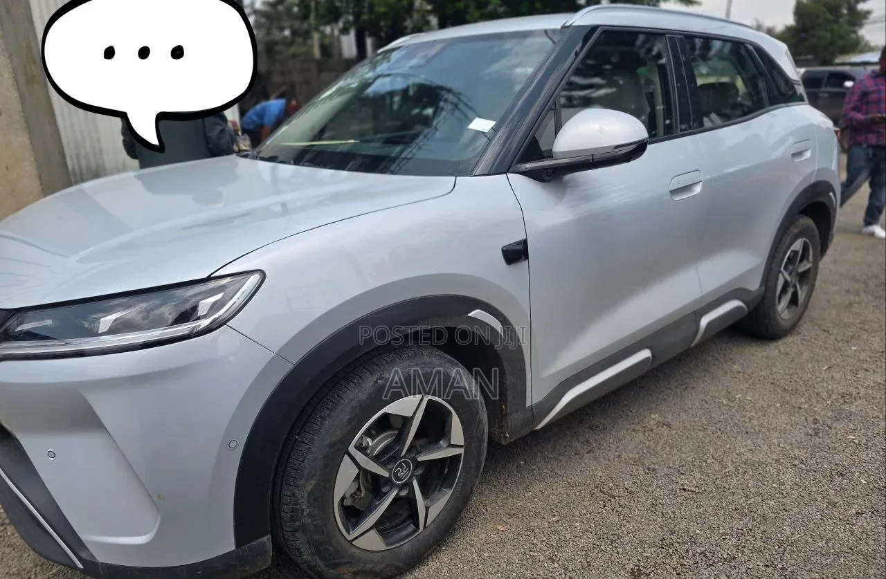 BYD Yuan Up 2025
