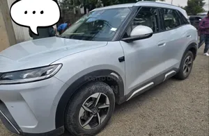 BYD Yuan Up 2025