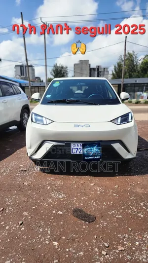 BYD Seagull 2025 White