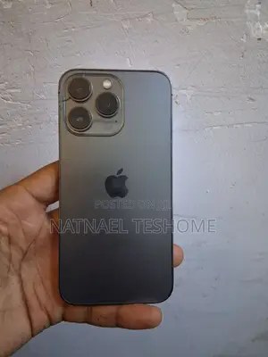 Apple iPhone 13 Pro 256 GB Gray