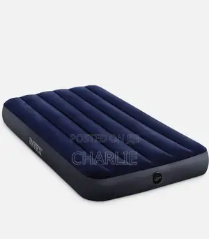 Intex Air Mattress